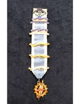 DAR Insignia Ribbon by Daughters of the American Revolution