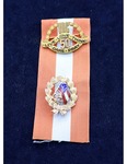 United Daughters of the Confederacy Insignia Pins