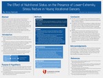The Effect of Nutritional Status on the Presence of Lower-Extremity Stress Fracture in Young Vocational Dancers by Kinzy Hancock