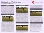 Mechanics of Ball Striking