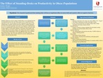 The Effect of Standing-Desks on Productivity in Obese Populations by Lindsey Wright