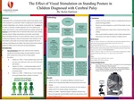 The Effect of Visual Stimulation on Standing Posture in Children Diagnosed with Cerebral Palsy