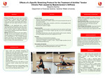 Effects of a Specific Stretching Protocol for the Treatment of Achilles’ Tendon Chronic Pain caused by Muscle tendon’s Stiffness by Massimo Borlina
