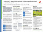 Acute impact of barefoot running on running economy in recreational runners: A conceptual framework. by Allyson Butts