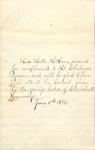 Correspondence - 1874, June 11 - Miss Mattie McLean - T. C. Pegram by Miss Mattie McLean