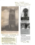 News Clipping - GWU Carillon Director Search by The Beacon