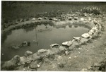 Photograph - Huggins-Curtis Building Memorial Pond by Unknown