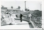Photograph - Webb Administration Courtyard Construction by Unknown