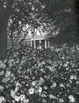 Photograph - Webb Administration Building(27) by Unknown