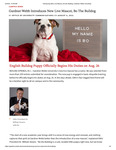 Gardner-Webb Introduces New Live Mascot, Bo The Bulldog